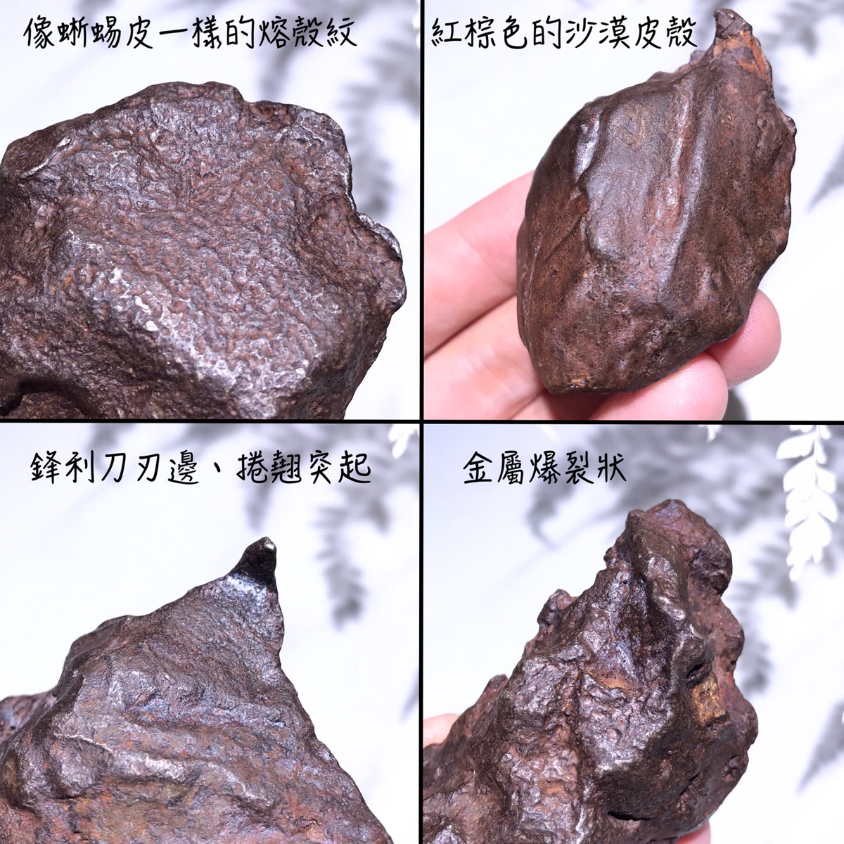 卡米爾隕石的四個外觀特徵
