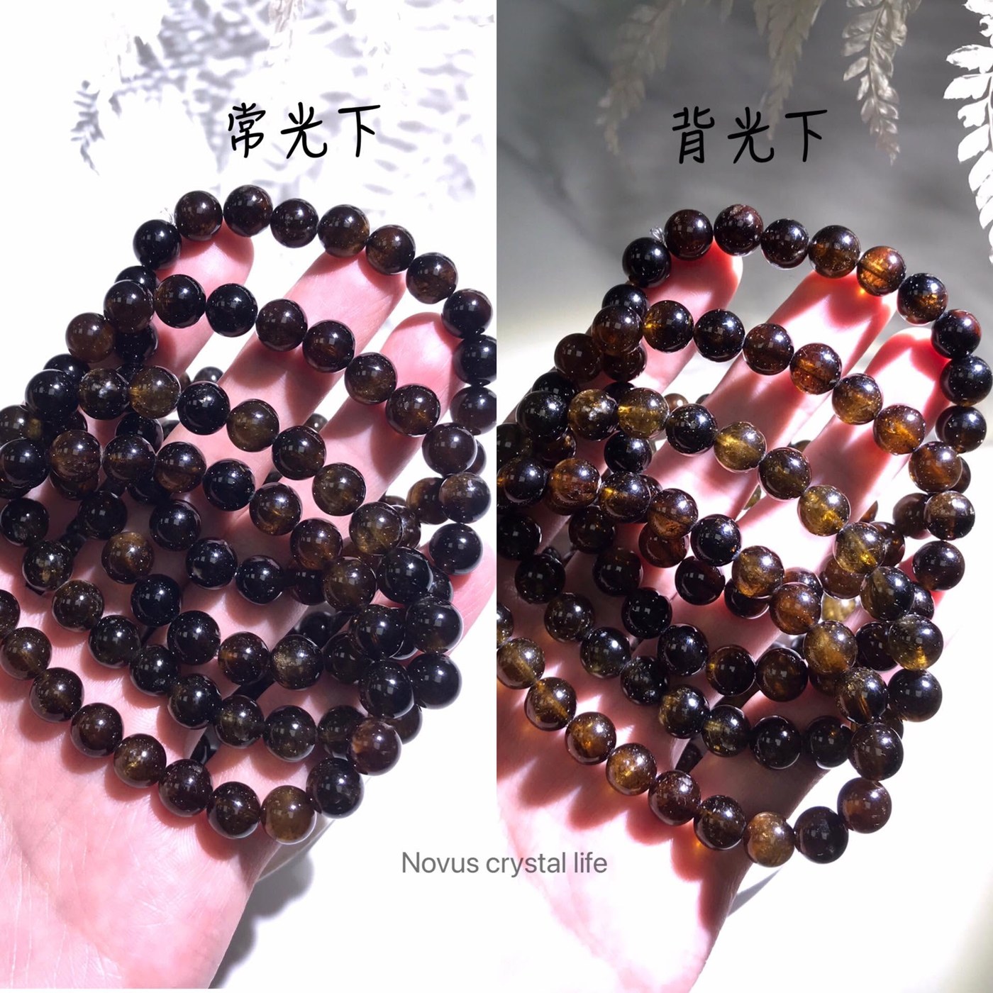 黑金碧璽在常光下與背光下的差別